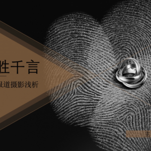 多伦多华裔媒体工作者协会成功举办“一图胜千言”摄影讲座