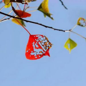 喜欢他人,为他人点赞