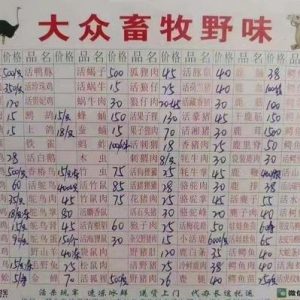 多伦多首例病毒感染确诊后 “仇华”情绪开始蔓延