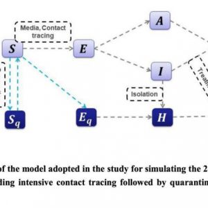 武汉疫情何时达到峰值?来看看数学和统计建模结果