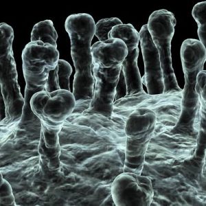 对近百新冠病例的研究透露了哪些信息?