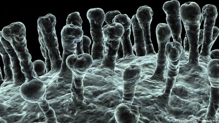 对近百新冠病例的研究透露了哪些信息?