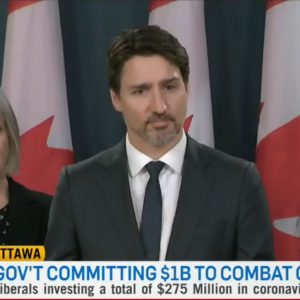 内幕:文件披露加拿大早期抗击新冠疫情计划