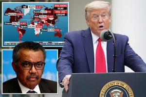 解放军报刊文:美方对世卫组织的攻击充满破绽