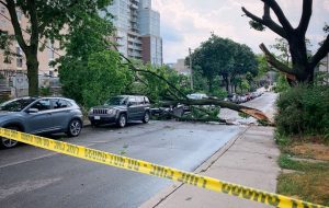 多伦多西部分地区受到洪水和严重雷暴天气影响导致停电和水浸