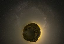 盘点2022年颠覆预期的八大科学发现