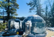 Camp Adelaide 星空屋度假村 — 一个四季开放不可错过的别致度假村