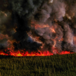 加东部天空将因降雨很快晴朗