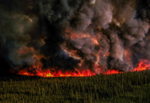 加东部天空将因降雨很快晴朗