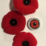 2023 11.11“华社国殇奠”纪念活动