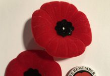 2023 11.11“华社国殇奠”纪念活动