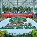 海外华文媒体探访泸州旅游业:寻找“天人合一”与“古今交融