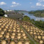 走进四川泸州先市古镇探访酱油酿造作坊